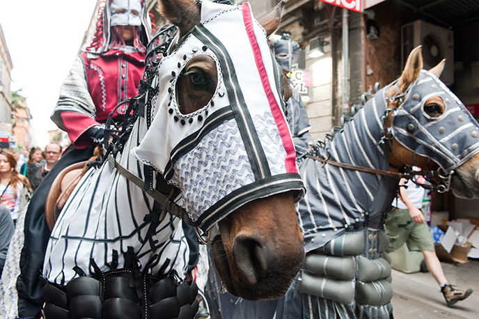 Festival d'art équestre : le cheval, la plus noble conquête de la